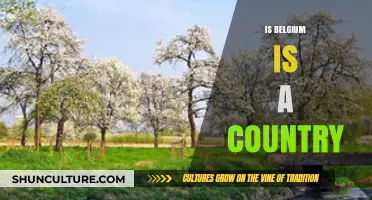 Exploring Belgium: A Deep Dive into Its Country Status and Unique Attributes