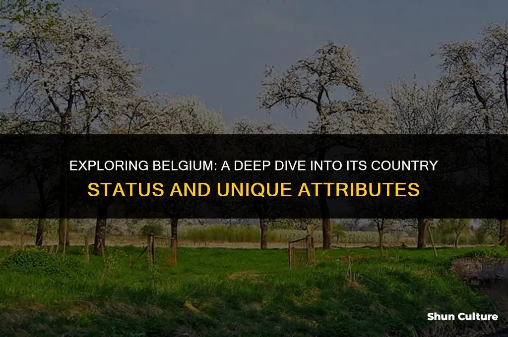 is belgium is a country