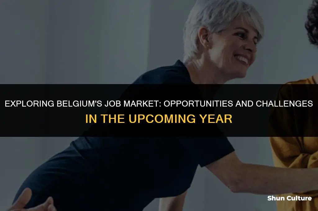 is belgium joby up area
