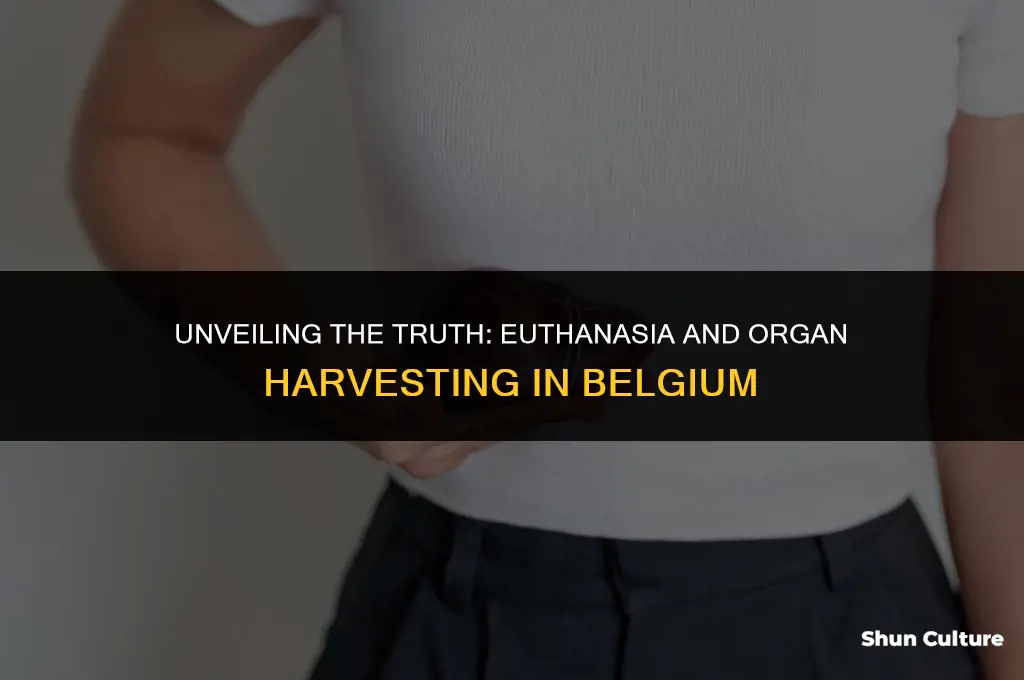 is belgium killing euthanizing their mentalky ill to harvestvtheir organs