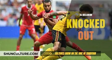 Belgium's Exit: Analyzing Their Journey and Impact on the Tournament