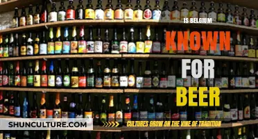 Belgium's Brewed Delight: A Nation Renowned for Its Beer