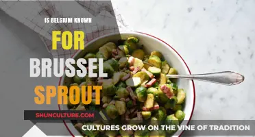 Exploring Belgium's Culinary Fame: The Brussels Sprout Connection