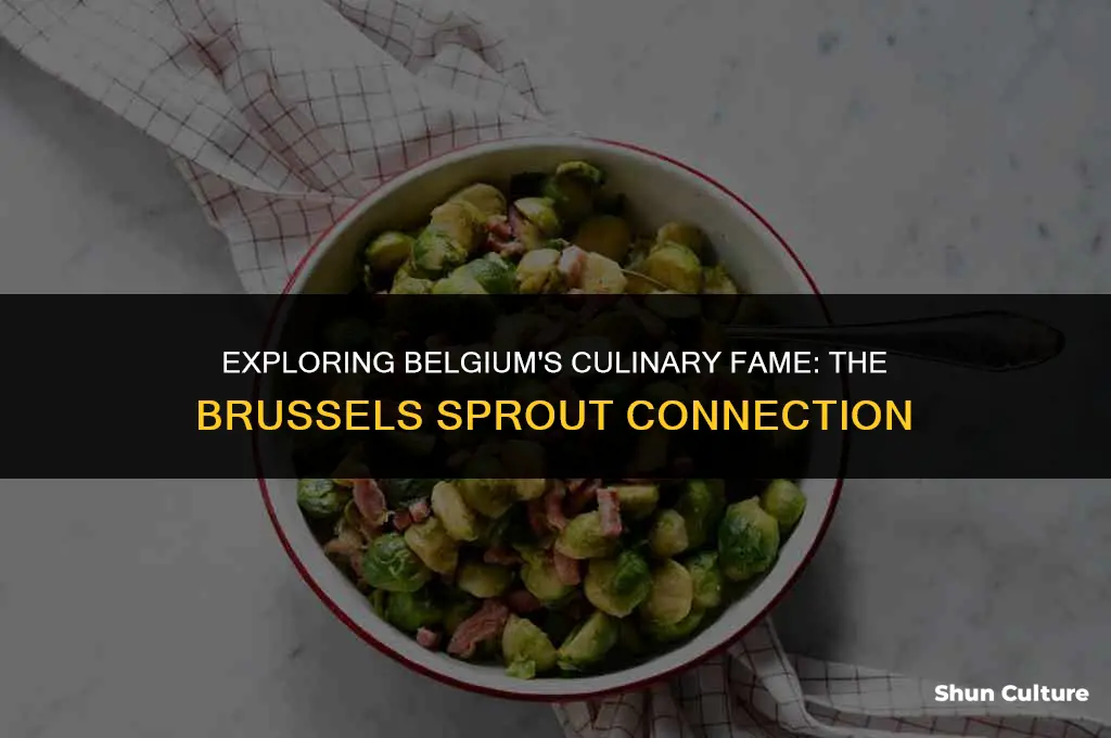 is belgium known for brussel sprout