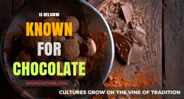 Indulge in Belgium's Rich Chocolate Heritage: A Sweet Journey