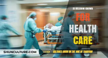 Exploring Belgium's Reputation for Healthcare Excellence