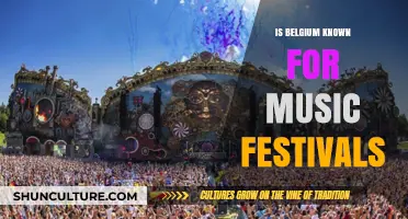 Belgium's Vibrant Music Festival Scene: A Cultural Hub for Music Lovers