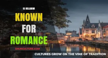 Enchanting Belgium: A Haven for Romance and Love