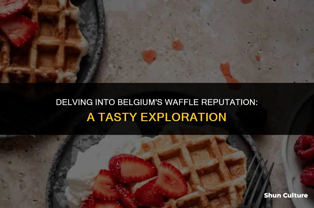 is belgium known for waffles