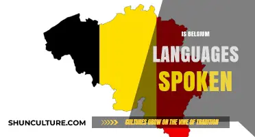 Exploring Belgium: A Multilingual Nation's Linguistic Landscape