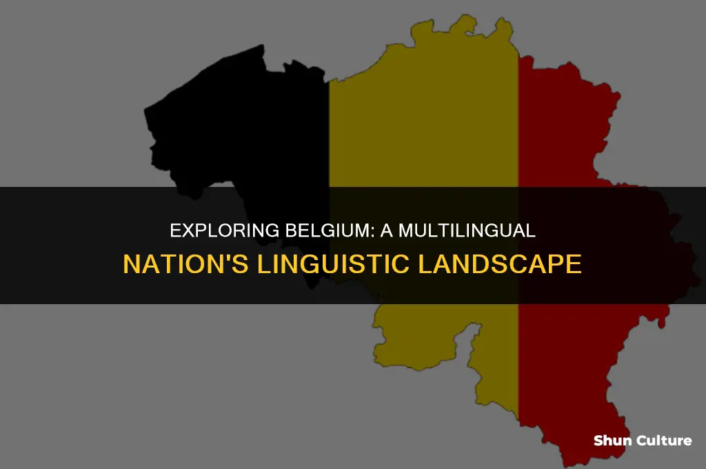 is belgium languages spoken