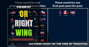 Exploring Belgium's Political Spectrum: Left, Right, or Center?