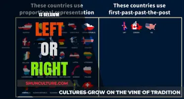 Exploring Belgium's Political Spectrum: Left, Right, or Center?