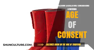 Belgium Legislature Debates Lowering Age of Consent: A Critical Analysis
