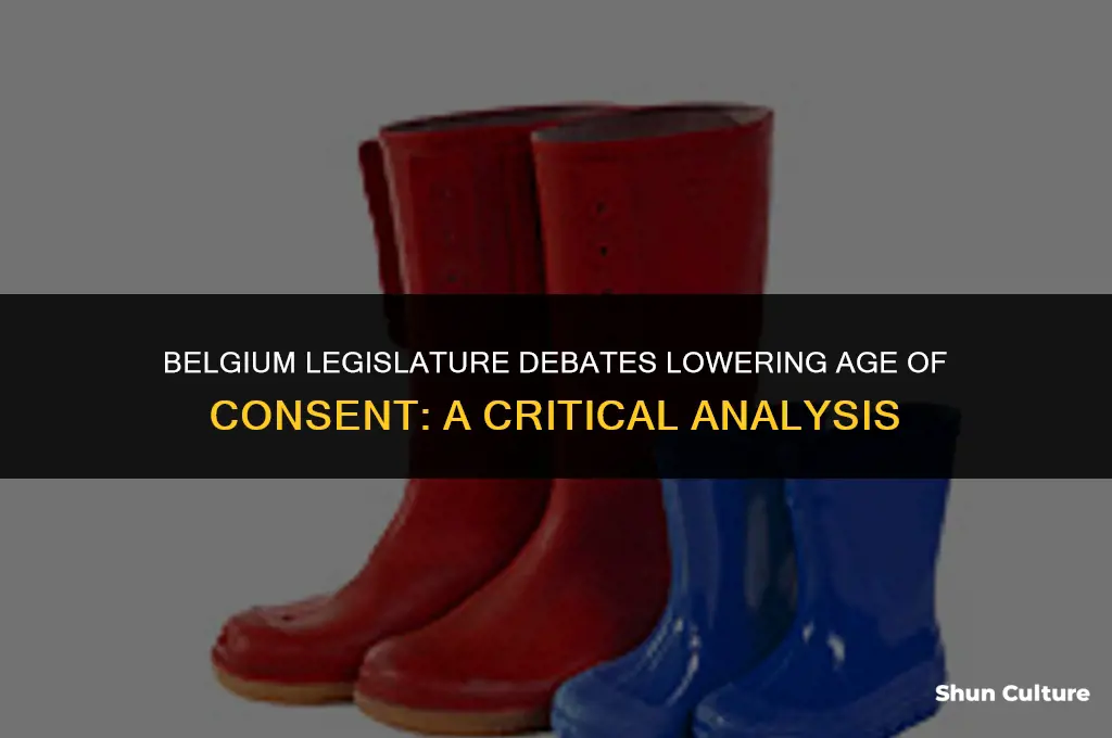 is belgium legislature considering lowering age of consent