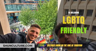 Exploring Belgium's LGBTQ+ Scene: A Comprehensive Guide