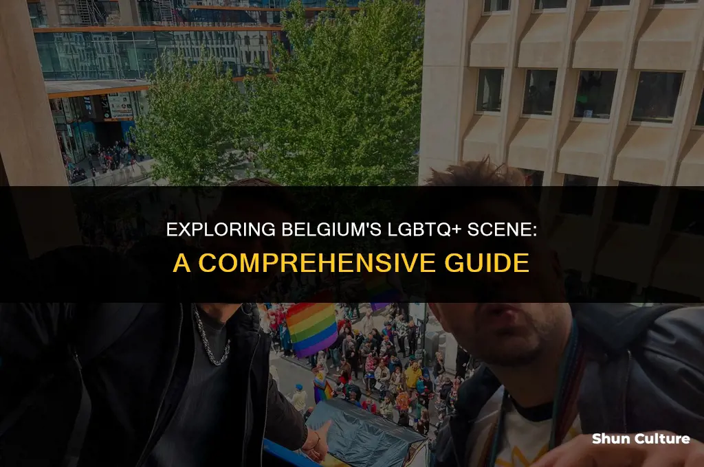is belgium lgbtq friendly