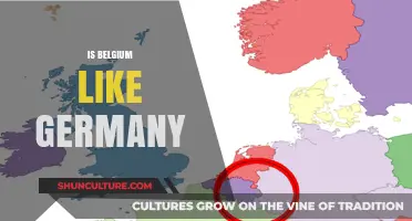 Exploring Cultural Similarities and Differences: Is Belgium Like Germany?