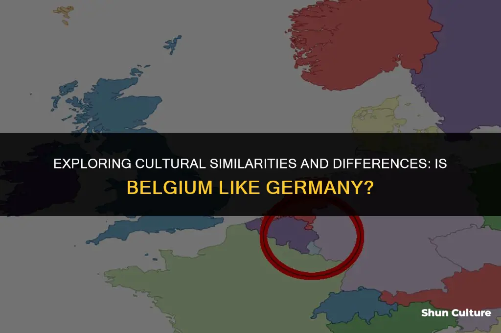 is belgium like germany