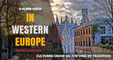 Exploring Belgium's Geographic Position: Western Europe or Not?
