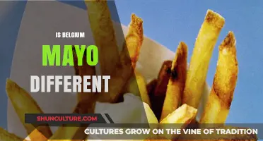 Exploring the Unique Flavor Profile of Belgium Mayonnaise