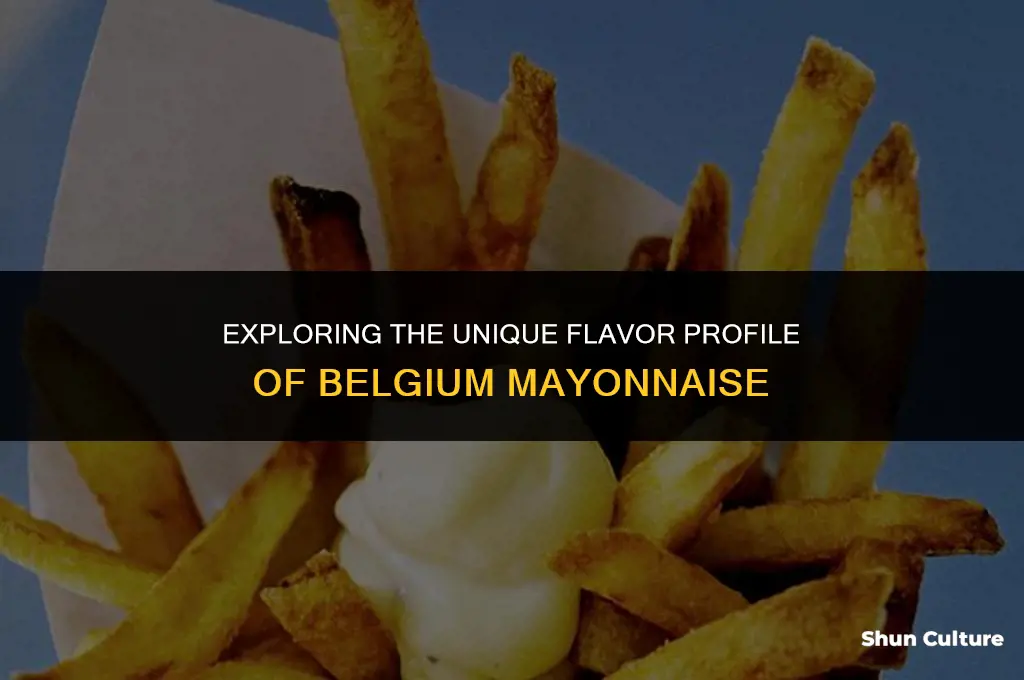is belgium mayo different