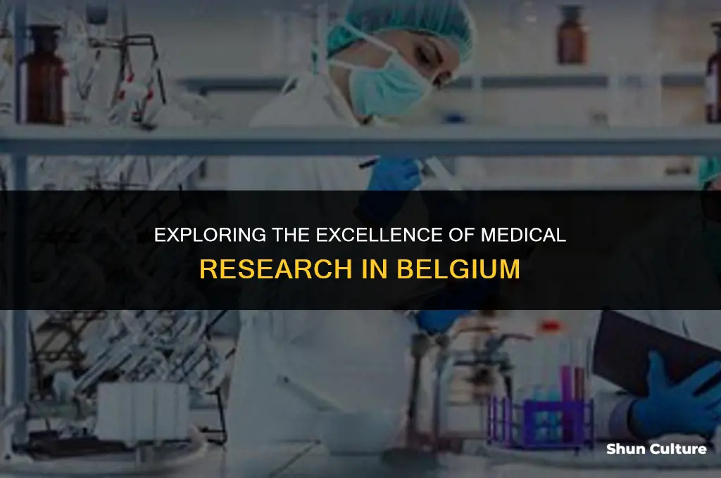 is belgium medical research good