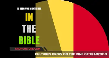 Exploring Scripture: Belgium's Presence in the Bible