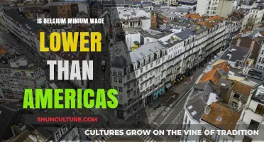 Comparing Wages: Is Belgium's Minimum Lower Than America's?