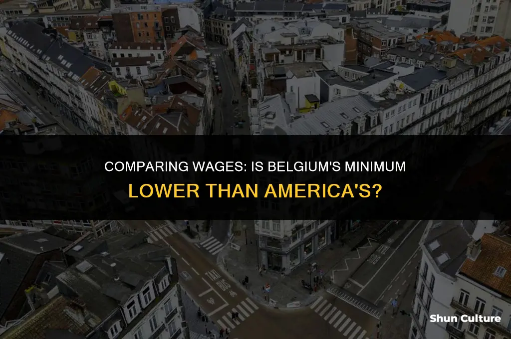 is belgium minium wage lower than americas