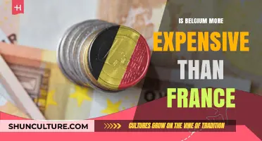 Exploring the Cost of Living: Belgium vs. France Comparison
