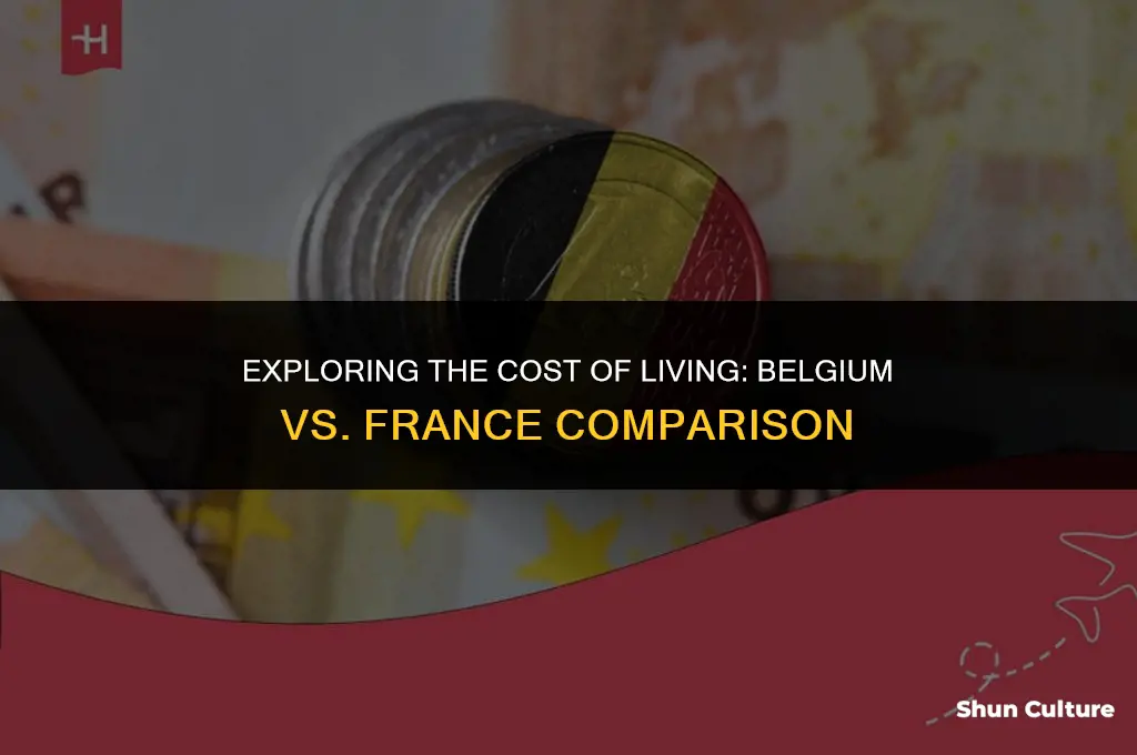 is belgium more expensive than france