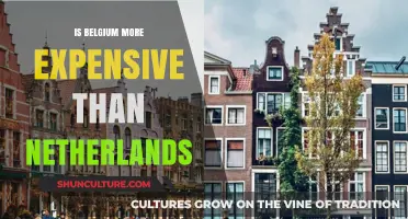 Exploring Cost Differences: Belgium vs. Netherlands