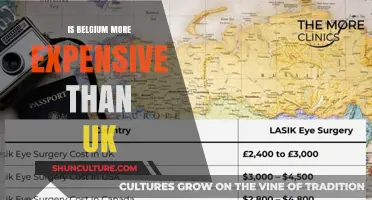 Comparing Costs: Is Belgium More Expensive Than the UK?