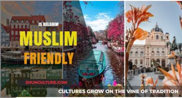 Exploring Belgium: A Guide to Its Muslim-Friendly Environment