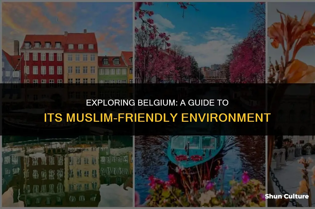 is belgium muslim friendly