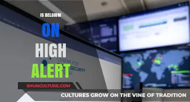 Belgium on High Alert: Understanding the Current Security Situation