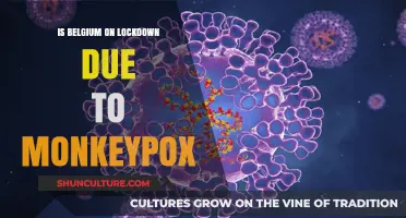 Monkeypox Alert: Understanding Belgium's Public Health Response