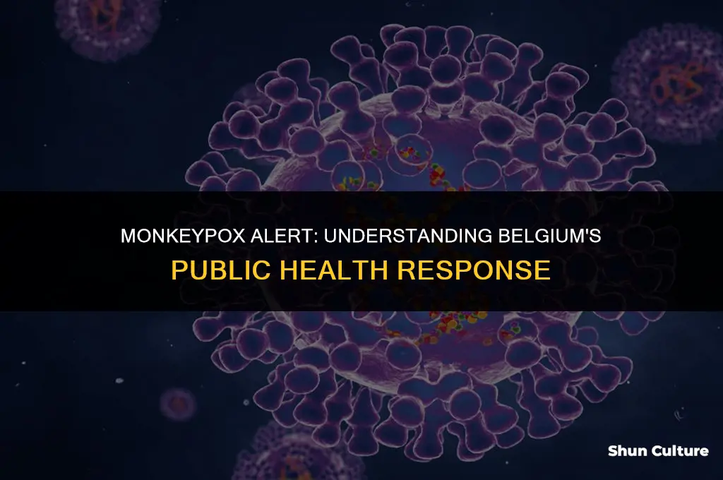 is belgium on lockdown due to monkeypox