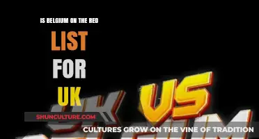 Belgium's Travel Status: Understanding the UK's Red List Implications