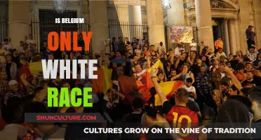 Exploring Belgium's Rich Racial and Cultural Diversity