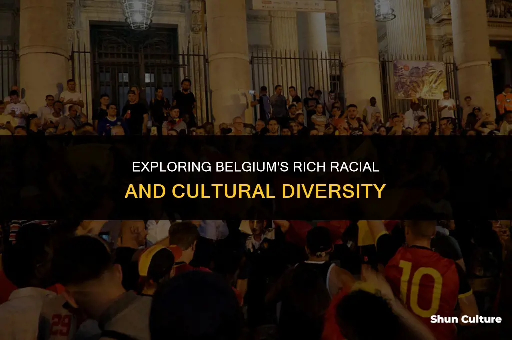 is belgium only white race