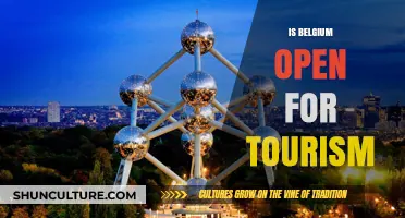 Exploring Belgium: A Guide to Its Tourism Status and Attractions