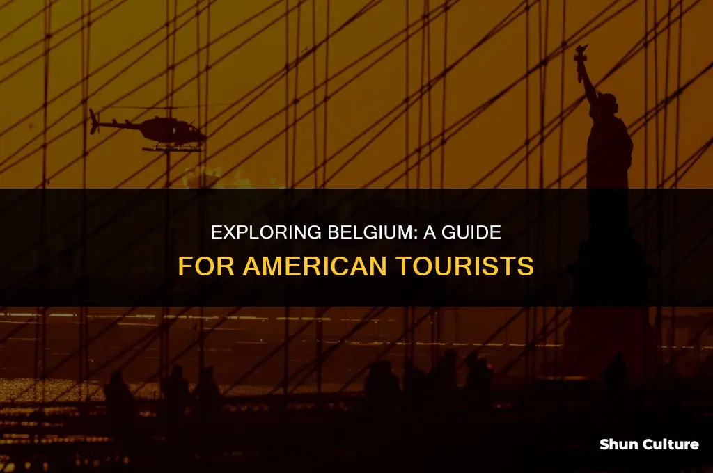 is belgium open to american tourists