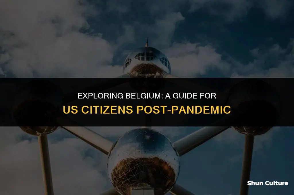 is belgium open to us citizens