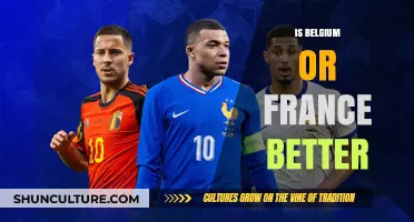 Exploring the Charm: Belgium vs. France - Which Captivates You More?
