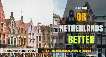 Exploring the Charm: Belgium vs. Netherlands - Which Captivates You?