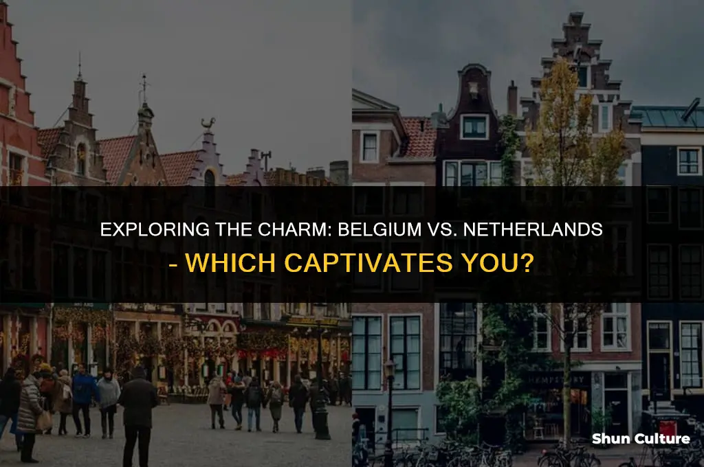 is belgium or netherlands better
