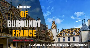 Exploring Historical Ties: Belgium's Connection to Burgundy France