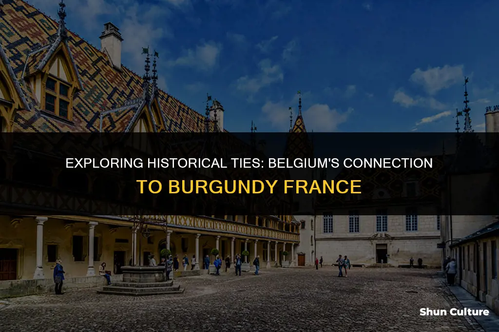 is belgium part of burgundy france